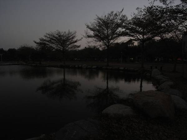 夕照水萍塭公園水塘